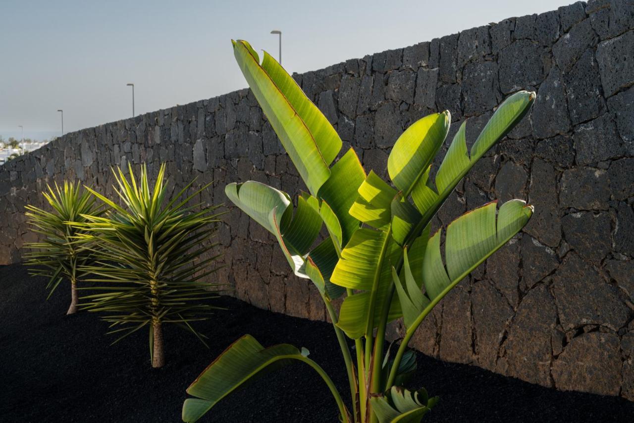 Villas Altos De Lanzarote Playa Blanca  Exterior photo